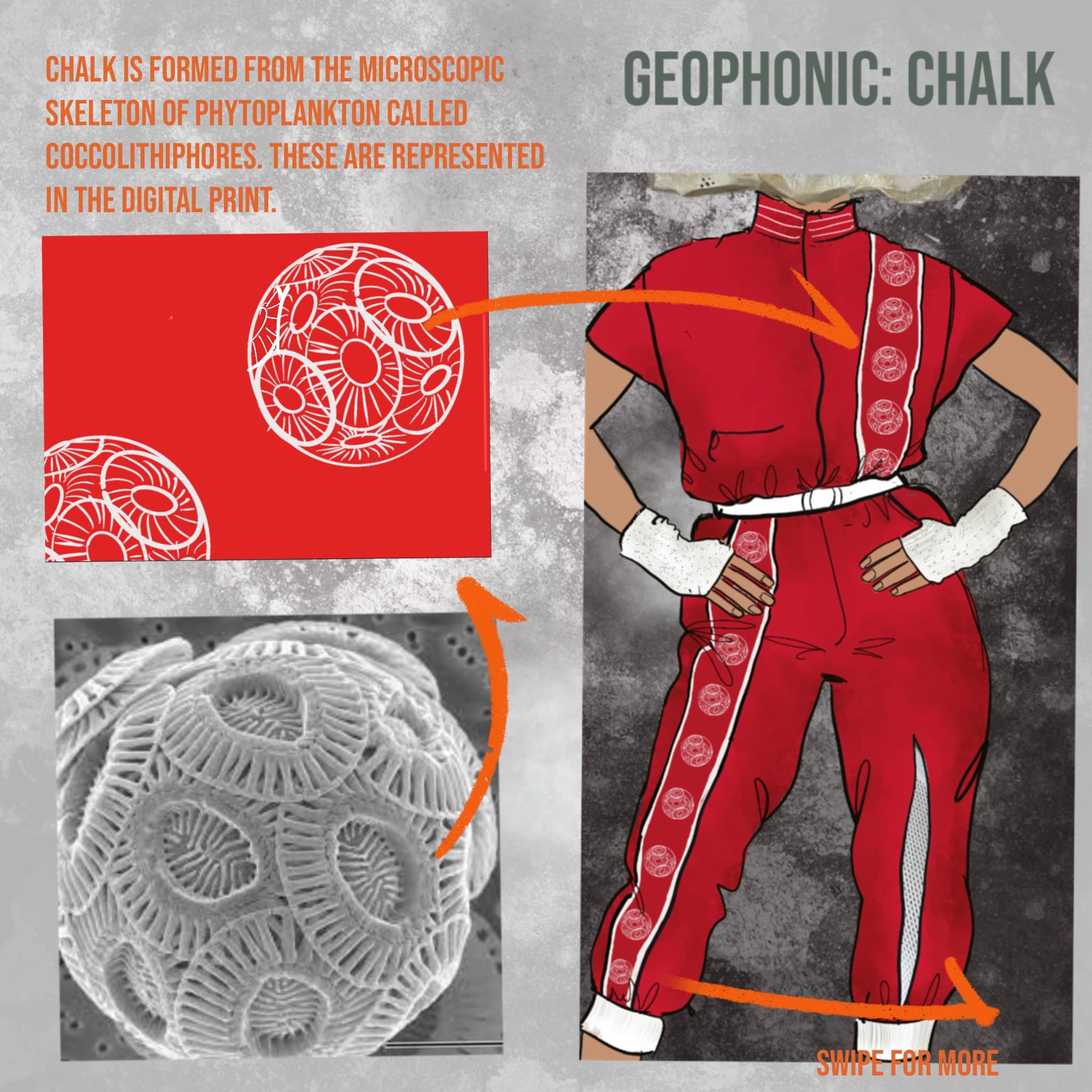 Image of red jumpsuit  with arrows of zoomed in sections showing coccolithopores